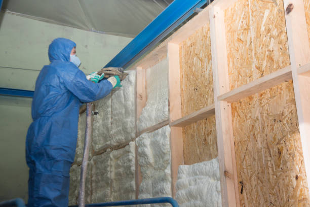 Best Insulation for New Construction  in Johnstown, PA